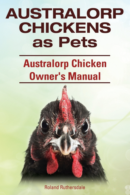 Australorp Chickens as Pets. Australorp Chicken Owner’s Manual.