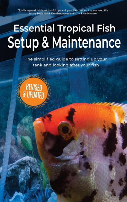 Essential Tropical Fish Setup & Maintenance