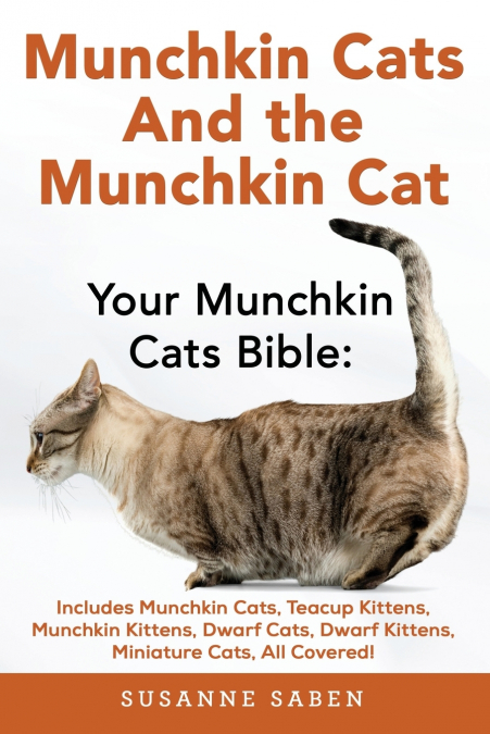 Munchkin Cats And The Munchkin Cat