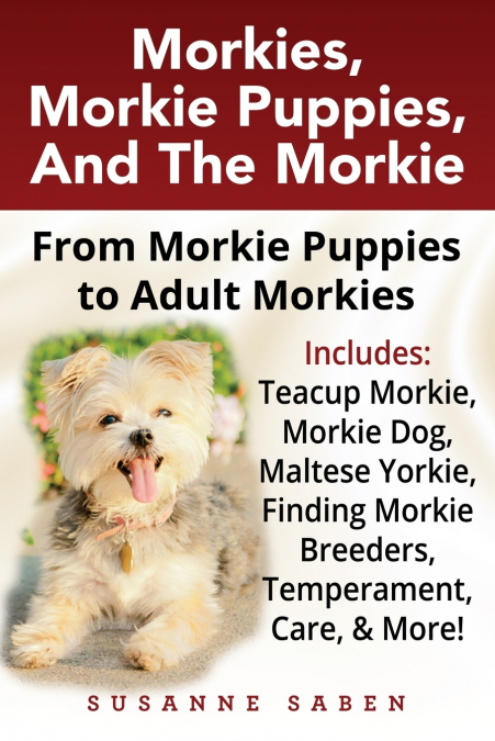 Morkies, Morkie Puppies, And the Morkie
