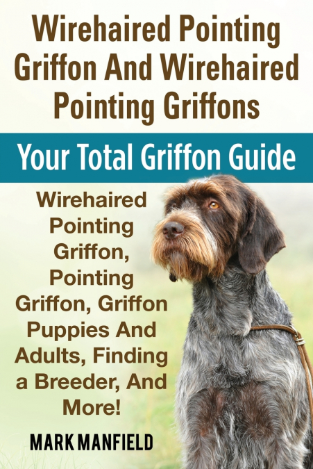 Wirehaired Pointing Griffon And Wirehaired Pointing Griffons