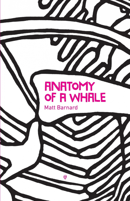 Anatomy of a Whale