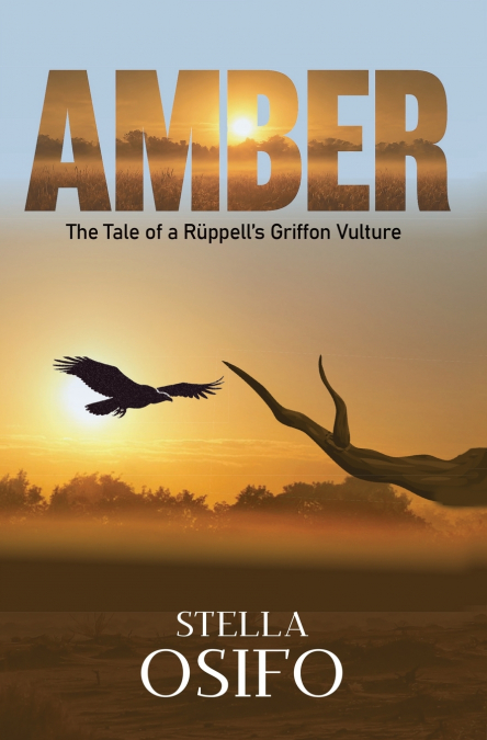 Amber - The Tale of a Rüppell’s Griffon