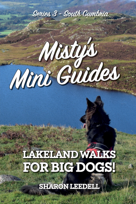 Misty’s Mini Guides