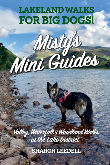 Misty’s Mini Guides