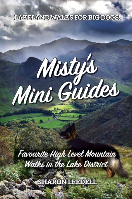 Misty’s Mini Guides