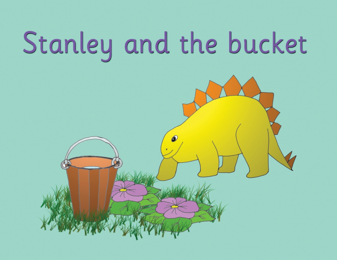 Stanley and the bucket