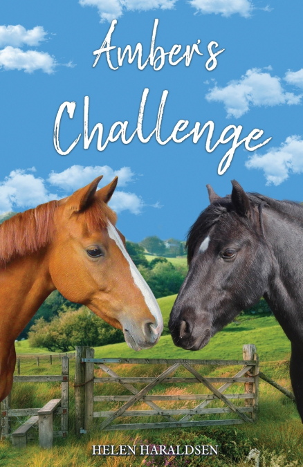 Amber’s Challenge