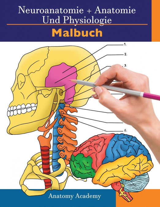Neuroanatomie + Anatomie und Physiologie Malbuch