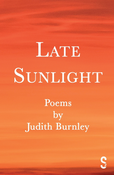 Late Sunlight
