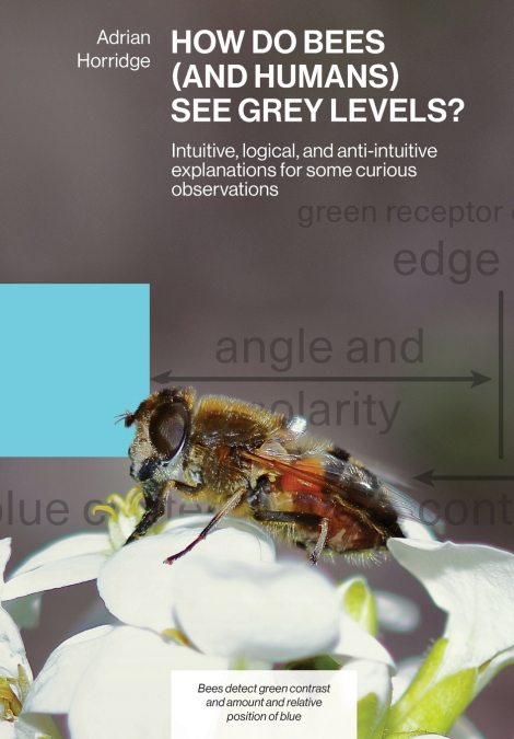 HOW DO BEES (AND HUMANS) SEE GREY LEVELS?