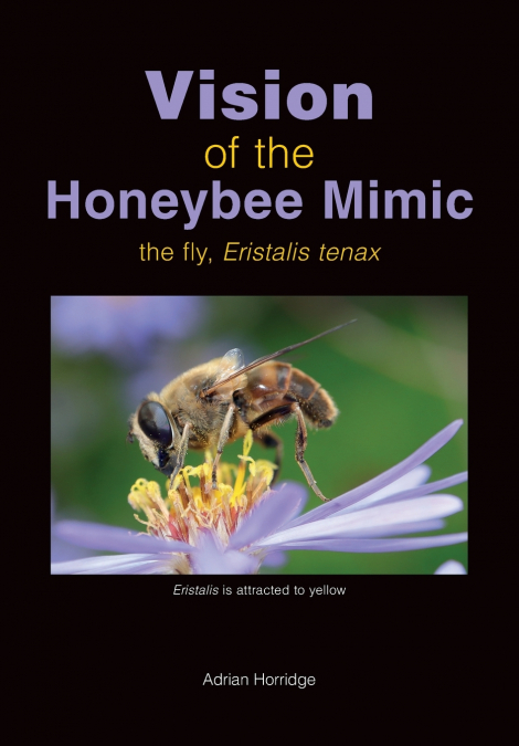 Vision of the Honeybee Mimic