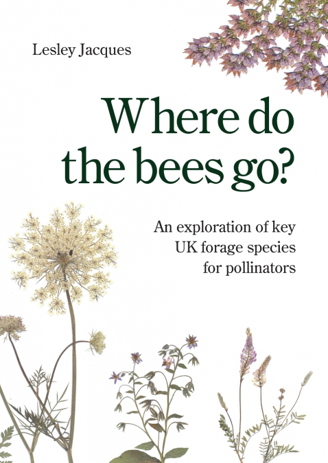 Where do the bees go?