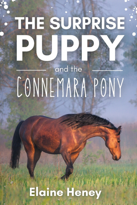 The Surprise Puppy and the Connemara Pony - The Coral Cove Horses Series