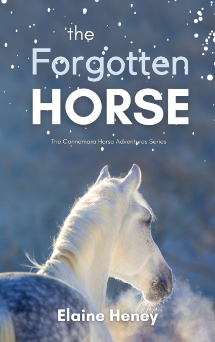 The Forgotten Horse - Book 1 in the Connemara Horse Adventure Series for Kids | The Perfect Gift for Children