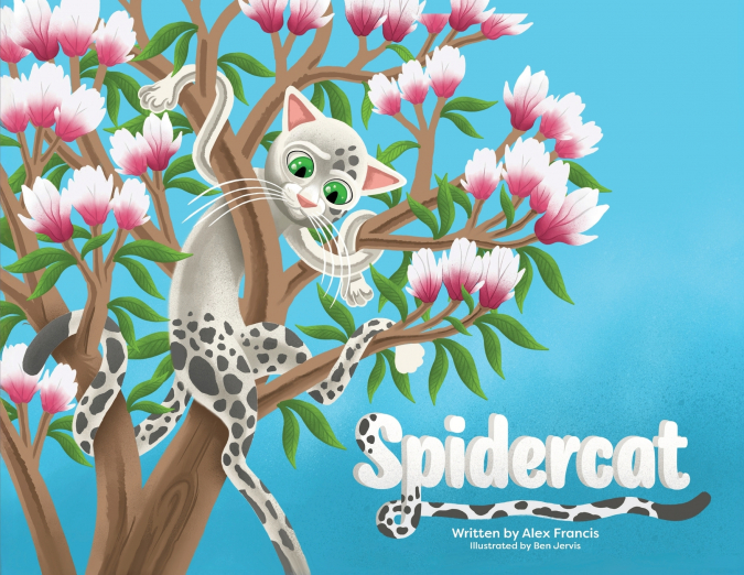 Spidercat