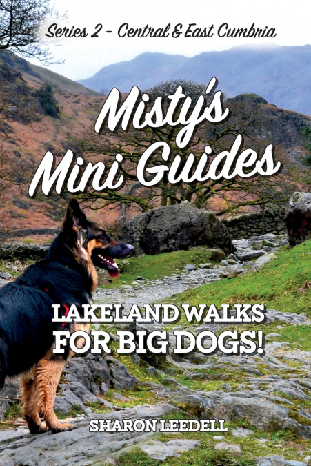 Misty’s Mini Guides
