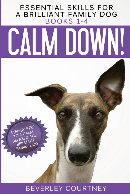 Essential Skills for a Brilliant Family Dog