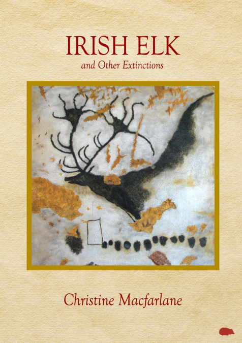 Irish Elk and Other Extinctions