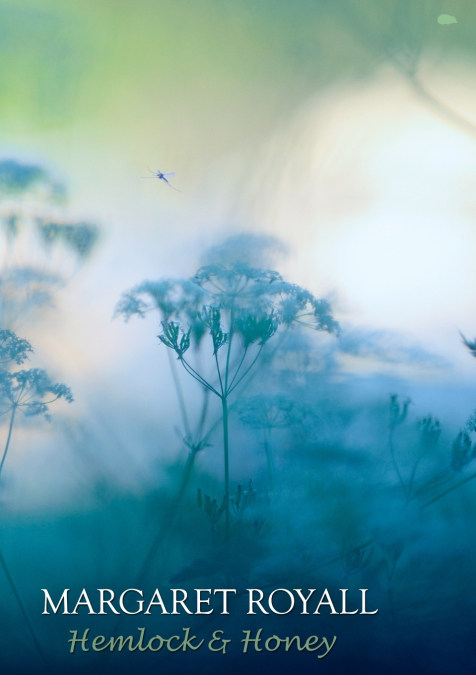 Hemlock & Honey