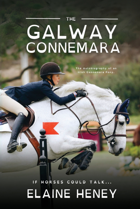 The Galway Connemara | The Autobiography of an Irish Connemara Pony - Dyslexia Friendly