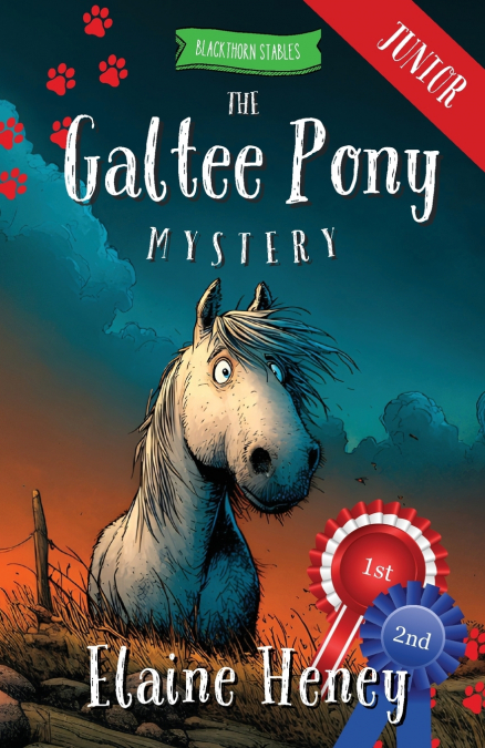 The Galtee Pony Mystery - Blackthorn Stables Junior