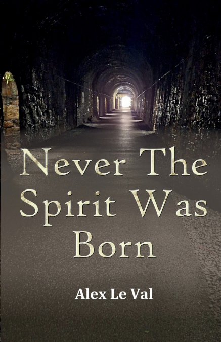 Never The Spirit Was Born