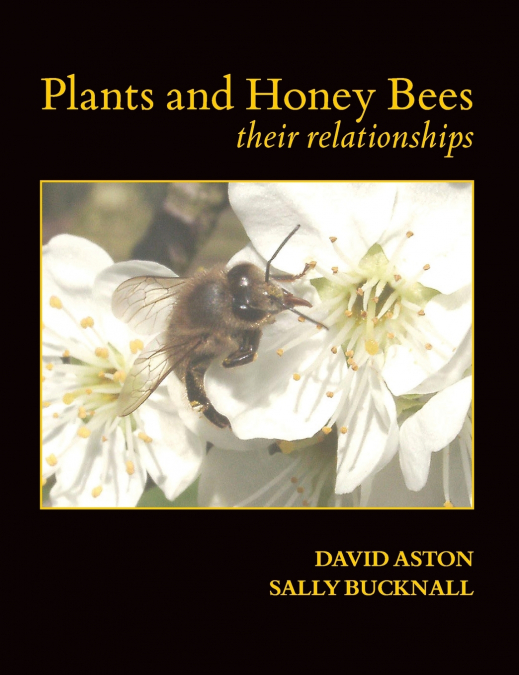 Plants and Honey Bees