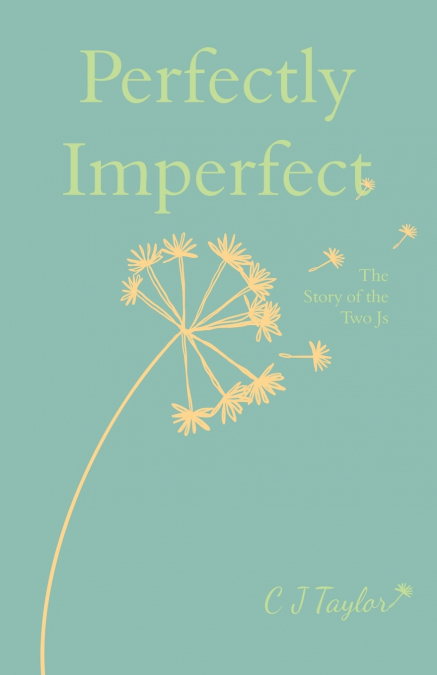 Perfectly Imperfect