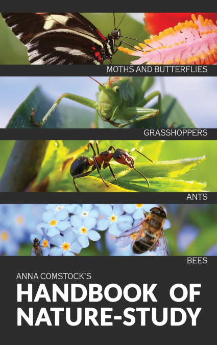 The Handbook Of Nature Study in Color - Insects