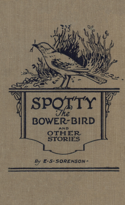Spotty the Bower Bird