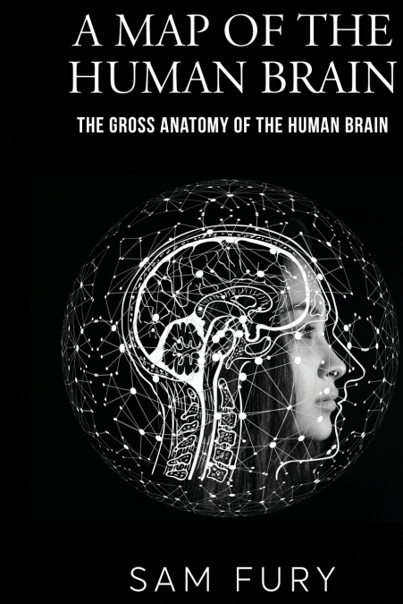 A Map of the Human Brain