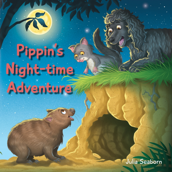 Pippin’s Night-time Adventure