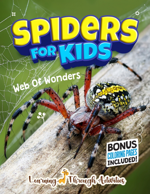 Spiders For Kids