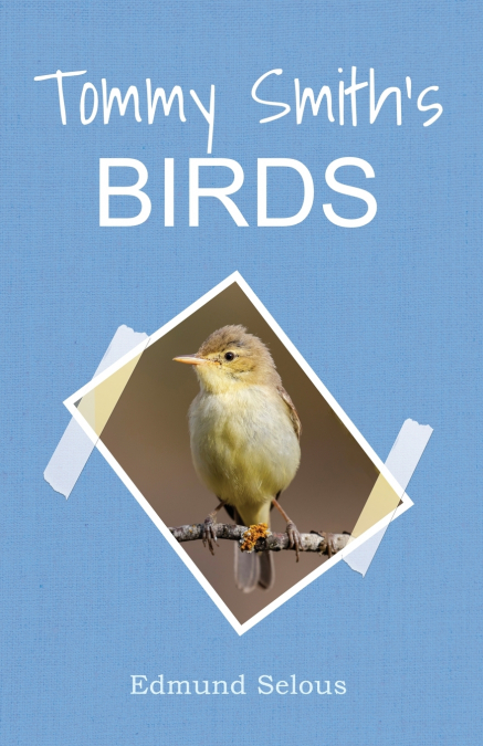 Tommy Smiths Birds