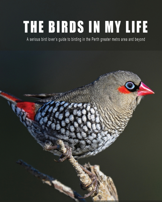 The Birds in My Life