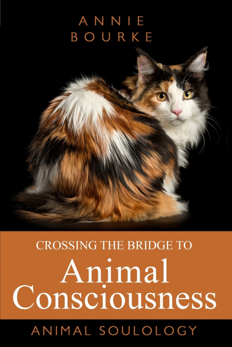Crossing the Bridge to Animal Consciousness