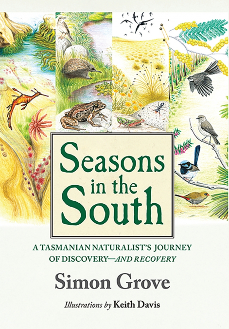 Seasons in the South