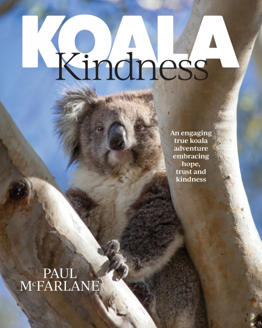 Koala Kindness