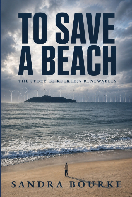 To Save a Beach