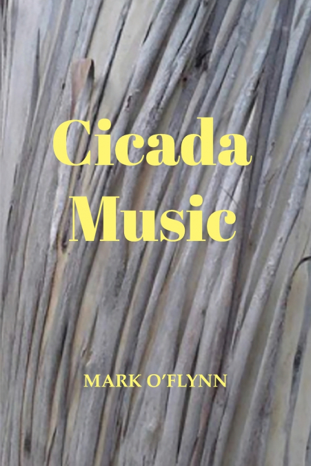 Cicada Music
