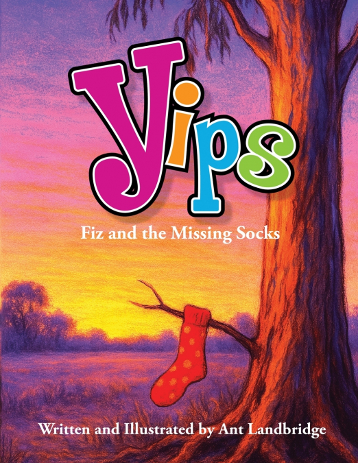 Yips Fiz and the Missing Socks