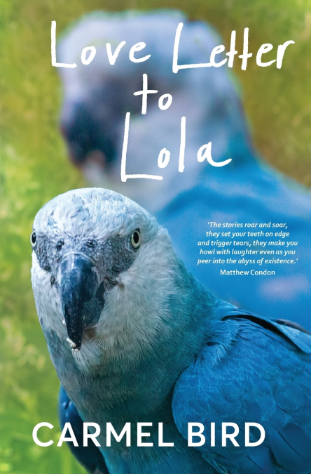 Love Letter to Lola