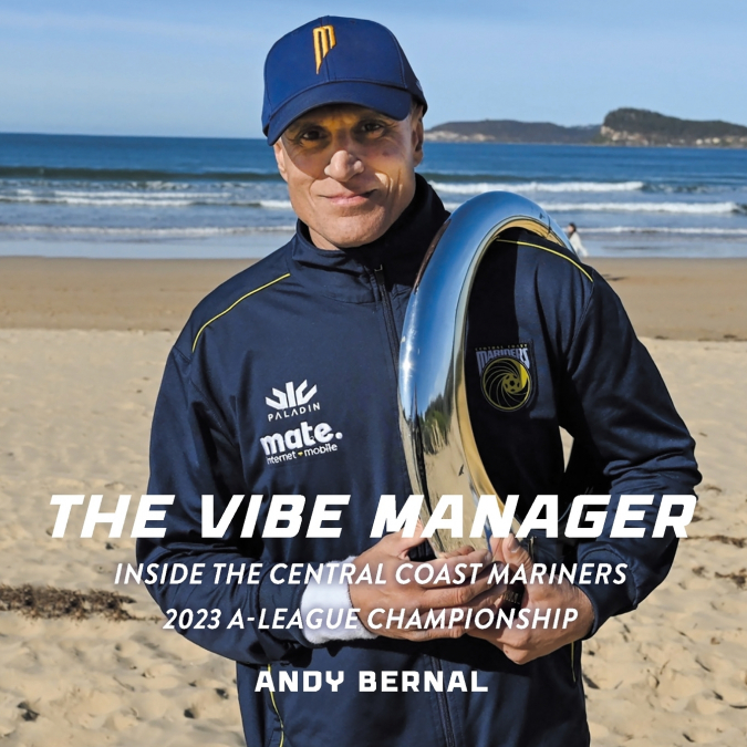 The Vibe Manager