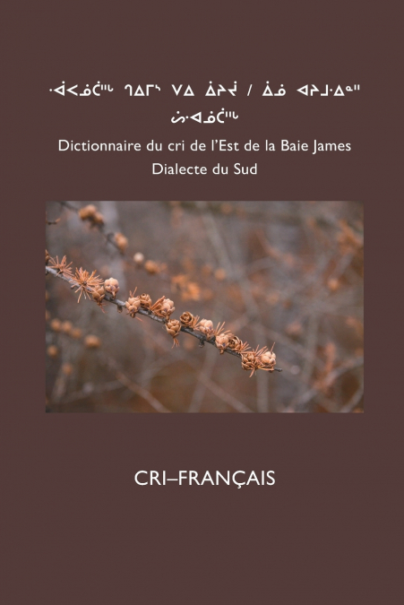 Dictionnaire Du Cri de L’Est (Sud)