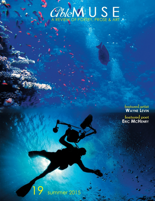 Able Muse, Summer 2015 (No. 19 - print edition)