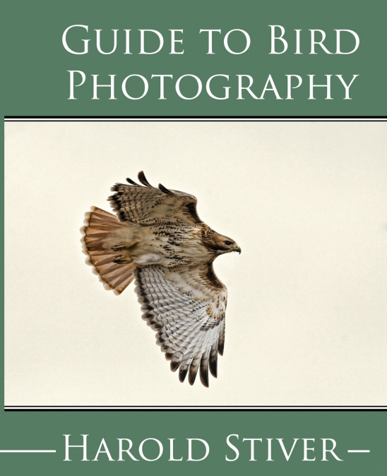 Guide to Photographing Birds