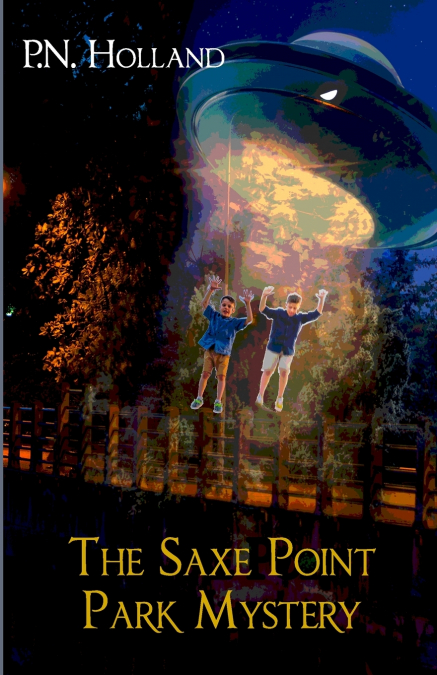 The Saxe Point Park Mystery