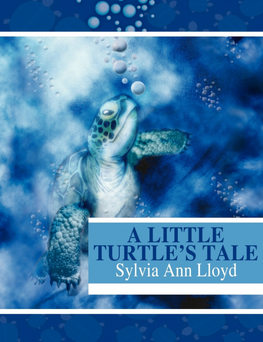 A Little Turtle’s Tale