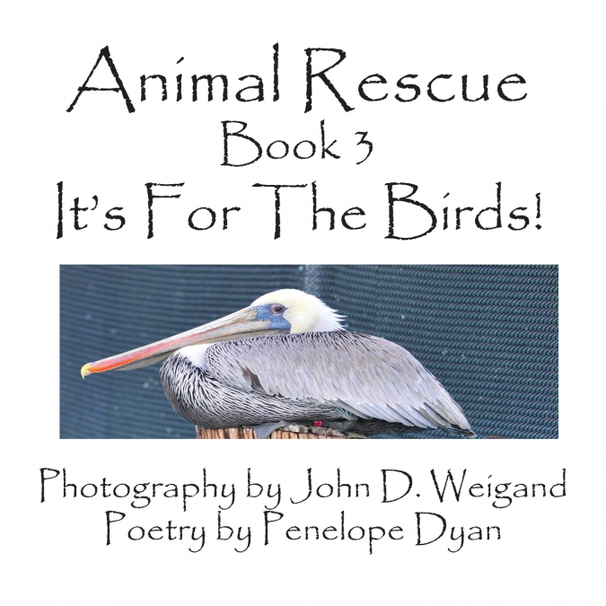 Animal Rescue, Book 3, It’s for the Birds!